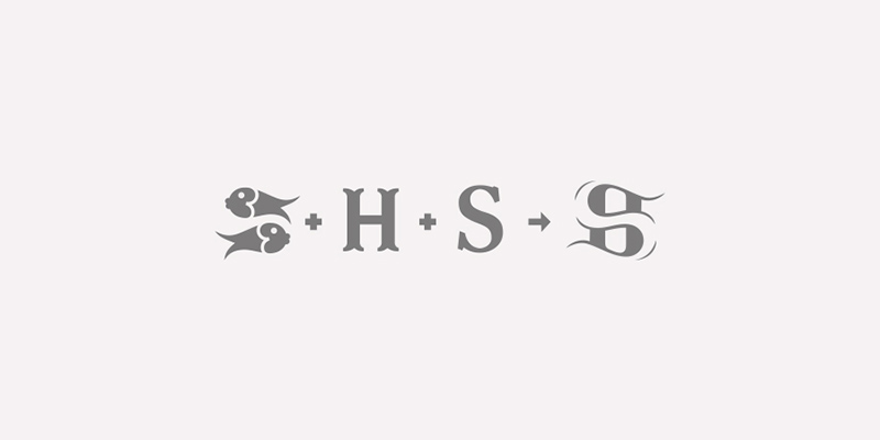 Hydro-Strefa logo branding