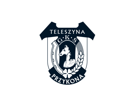 Teleszyna Przykona logo design